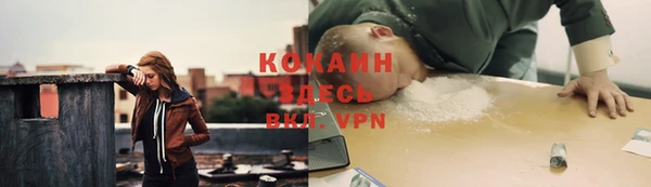 крисы Армянск